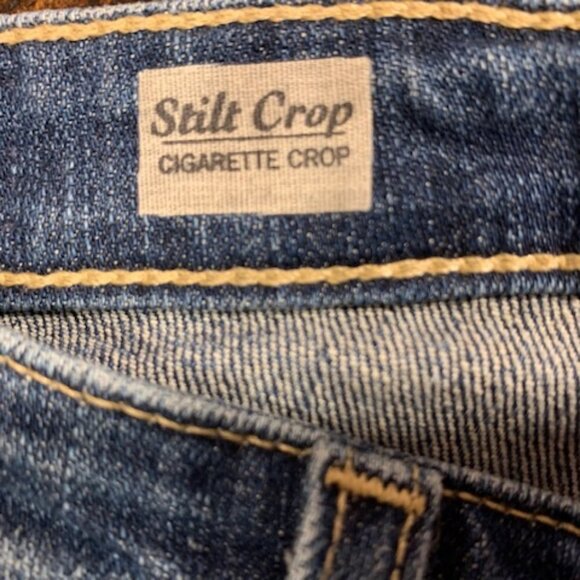 Adriano Goldschmied  Cigarette Crop South Gate Skinny Jeans Blue Wash Size 25R - Picture 12 of 12